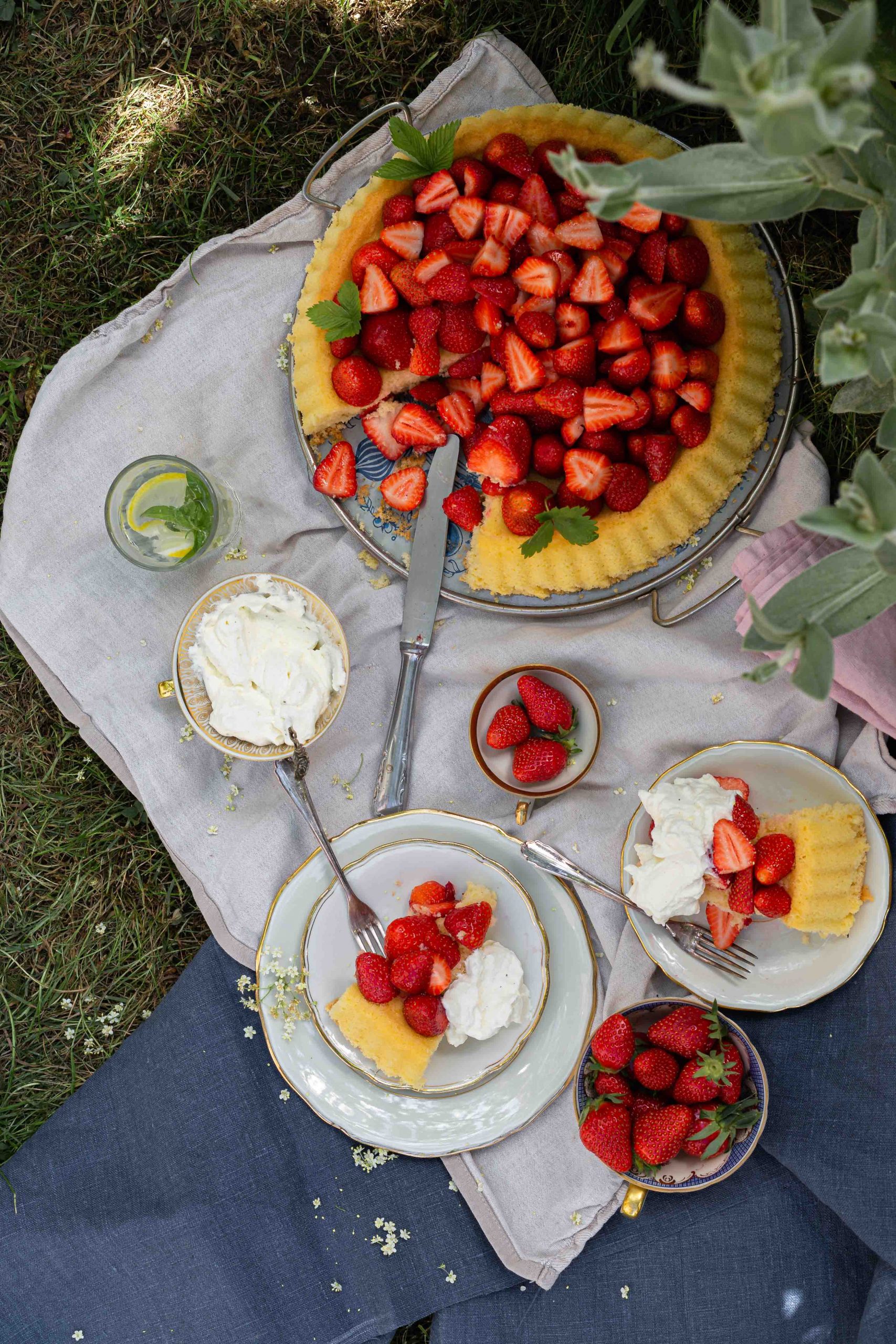 Erdbeerboden mit Wiener Masse | Grundrezept für einen einfachen Biskuit mit frischen Erdbeeren